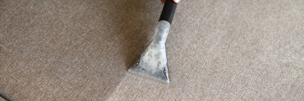 istock Male housekeeper hand cleaning sofa with washing suction 1295056532