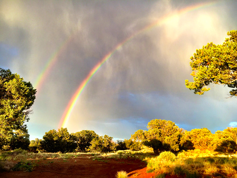 Vivid rainbow in the high desert of eastern Arizona.with low afternoon light illuminating juniper trees.