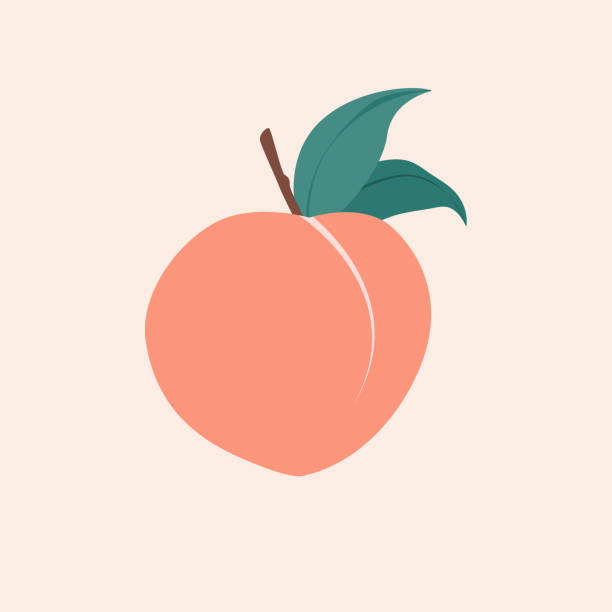 Modern vector peach illustration. Peach icon. Flat design style. vector art illustration