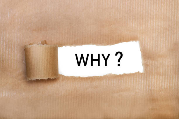 istock A tear brown paper with why word write in it 1295061398