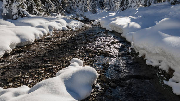 istock View of a mountain river 1295062124