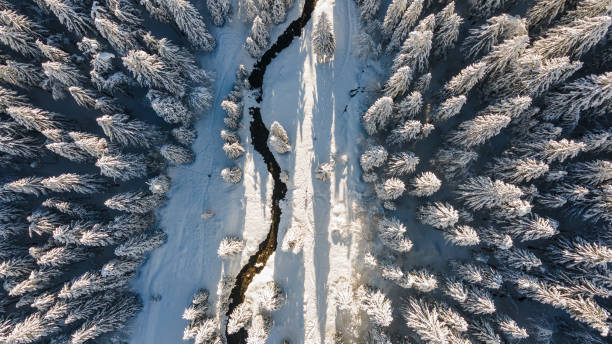 istock Aerial view of mountain river 1295062172