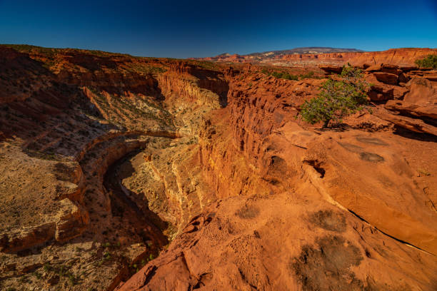 istock The Goosenecks in Capital Reef 1295063505