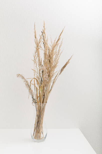 istock Pampas grass branch in vase 1295063627