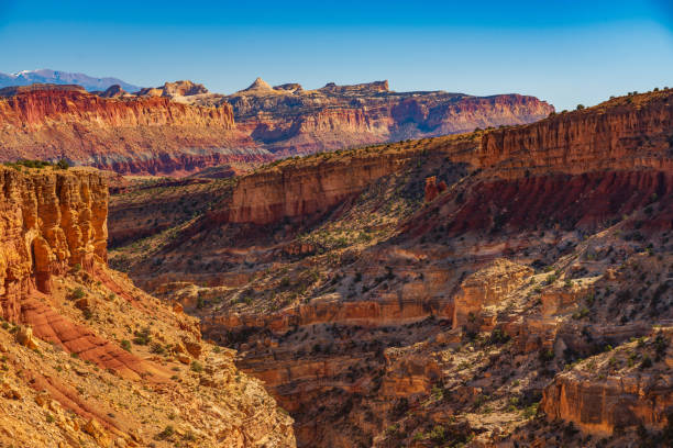 istock Fern's Nipple Above the Goosenecks 1295064282