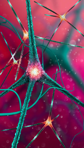 istock Microscopic view of the synapses. Brain connections. Neurons and synapses. Communication and cerebral stimulus. Neural network, degenerative diseases 1295065502