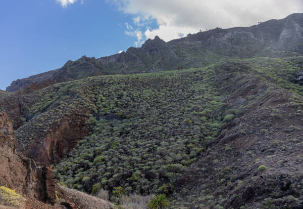 istock Landscapes of La Gomera 1295065714