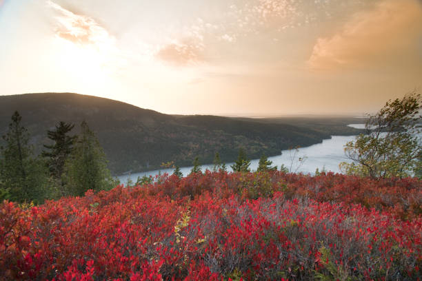 istock Mount Desert Island - Maine 1295070175