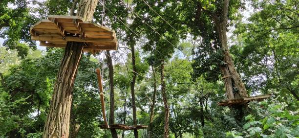 Go Ape Adventure. Located in national parks and local recreational facilities, Go Ape is a challenging obstacle course in the trees. Wooden and rope structures for movement. Sports fun competitions. vaya a la aventura de los simpos. ubicado en parques nacionales e instalaciones recreativas locales, go ape es una desafiante carrera de obstáculos en los árboles. estructuras de madera y cuerda para el movimiento. competiciones de diversión deportiva