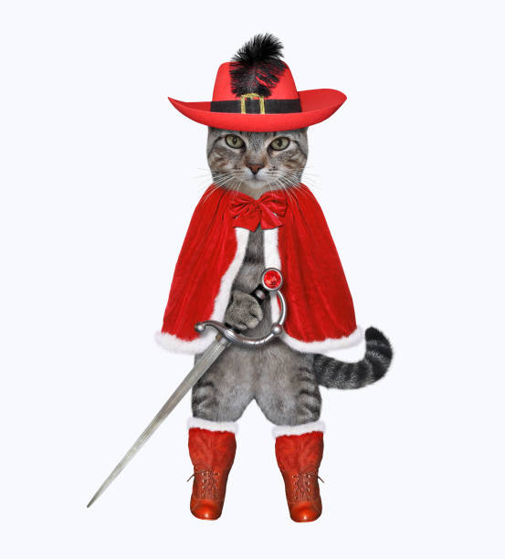 istock Cat gray in red cloak with sword 1295074043