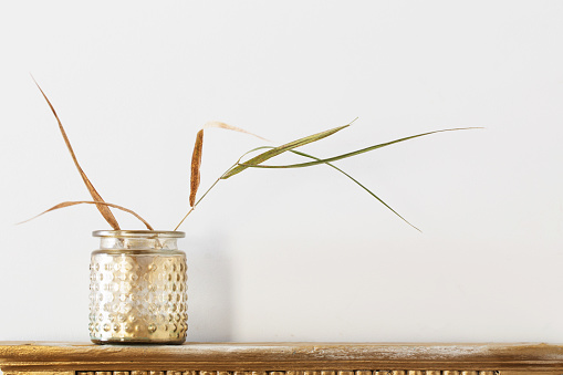 dried plants in in golden jar on old shelf on white background