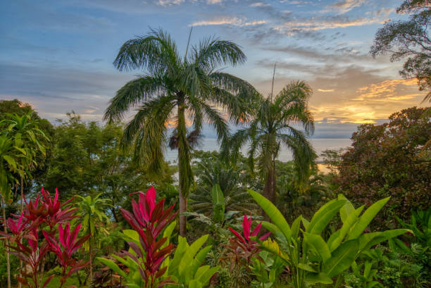 Sunset Over a Lagoon and the Pacific in Corcovado National Park on the Osa Peninsula in Costa Rica Sunset Over a Lagoon and the Pacific in Corcovado National Park on the Osa Peninsula in Costa Rica costa rican sunset stock pictures, royalty-free photos & images