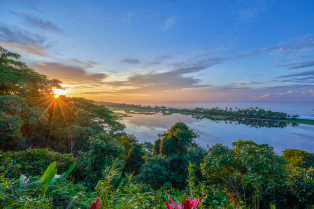 alba su una laguna e il pacifico nel parco nazionale del corcovado sulla penisola di osa in costa rica - tropical rainforest rainforest costa rica tree area foto e immagini stock