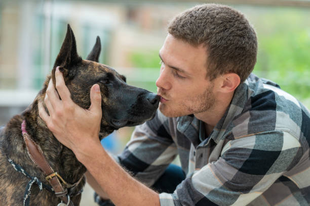 istock Owner reassuring his rescue dog 1295075997