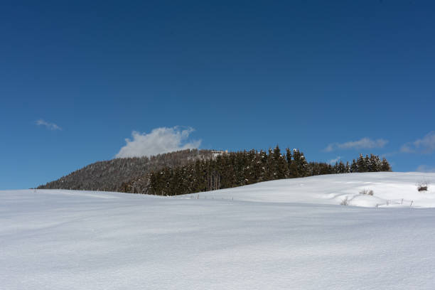 Winter landscape in Altopiano di Asiago after a heavy snow storm