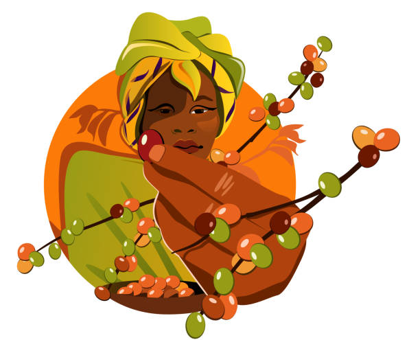 ilustrações de stock, clip art, desenhos animados e ícones de african woman harvests coffee from a branch. coffee farm. a beautiful yellow turban. vector illustration flat design. - etiopia i