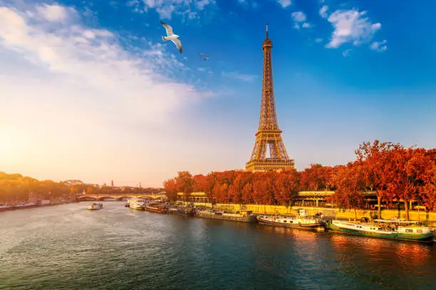 Photo of Eiffel tower in autumn foliage. Eiffel Tower with autumn leaves in Paris, France. Seine in Paris with Eiffel tower in autumn time. Paris with Eiffel tower in autumn time. Paris, France.