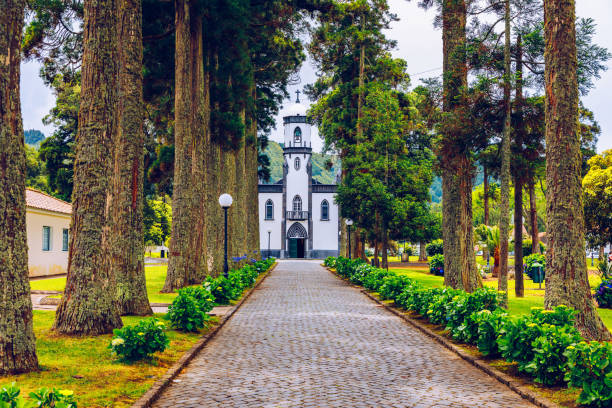 Church of Sao Nicolau (Saint Nicolas) with an alley of tall trees and hydrangea flowers in Sete cidades on Sao Miguel island, Azores, Portugal. Parish Church of St. Nicholas, Sete Cidades, Azores. Church of Sao Nicolau (Saint Nicolas) with an alley of tall trees and hydrangea flowers in Sete cidades on Sao Miguel island, Azores, Portugal. Parish Church of St. Nicholas, Sete Cidades, Azores. san miguel portugal stock pictures, royalty-free photos & images