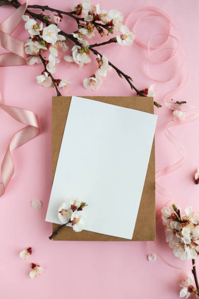 istock spring background. layout of a postcard from a blossoming cherry branch and an envelope. space for text 1295085250
