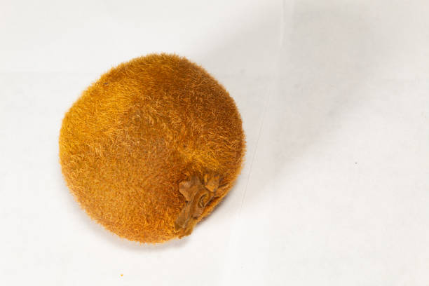 istock unpeeled kiwifruit on a white background 1295086658