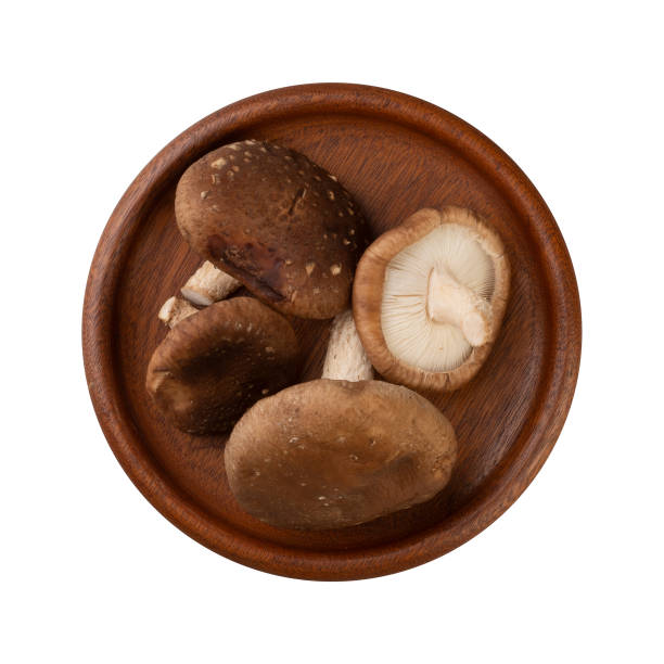istock Shitake mushrooms on a wooden plate isolated over white background 1295087597