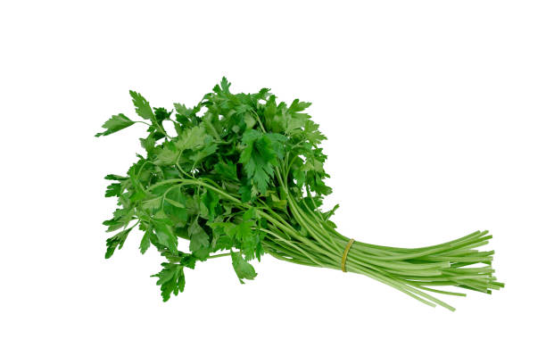 istock Fresh parsley bunch isolated on white background 1295090637