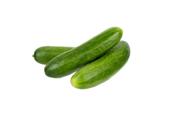 istock Fresh organic cucumber vegetable isolated on white 1295090971