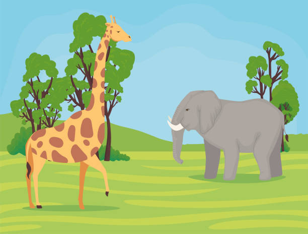 istock giraffe and elephant african animals wild in the camp 1295094967