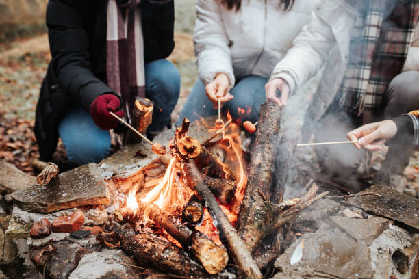 istock Three young female campers enjoying barbecuing chicken by the bonfire 1295099134