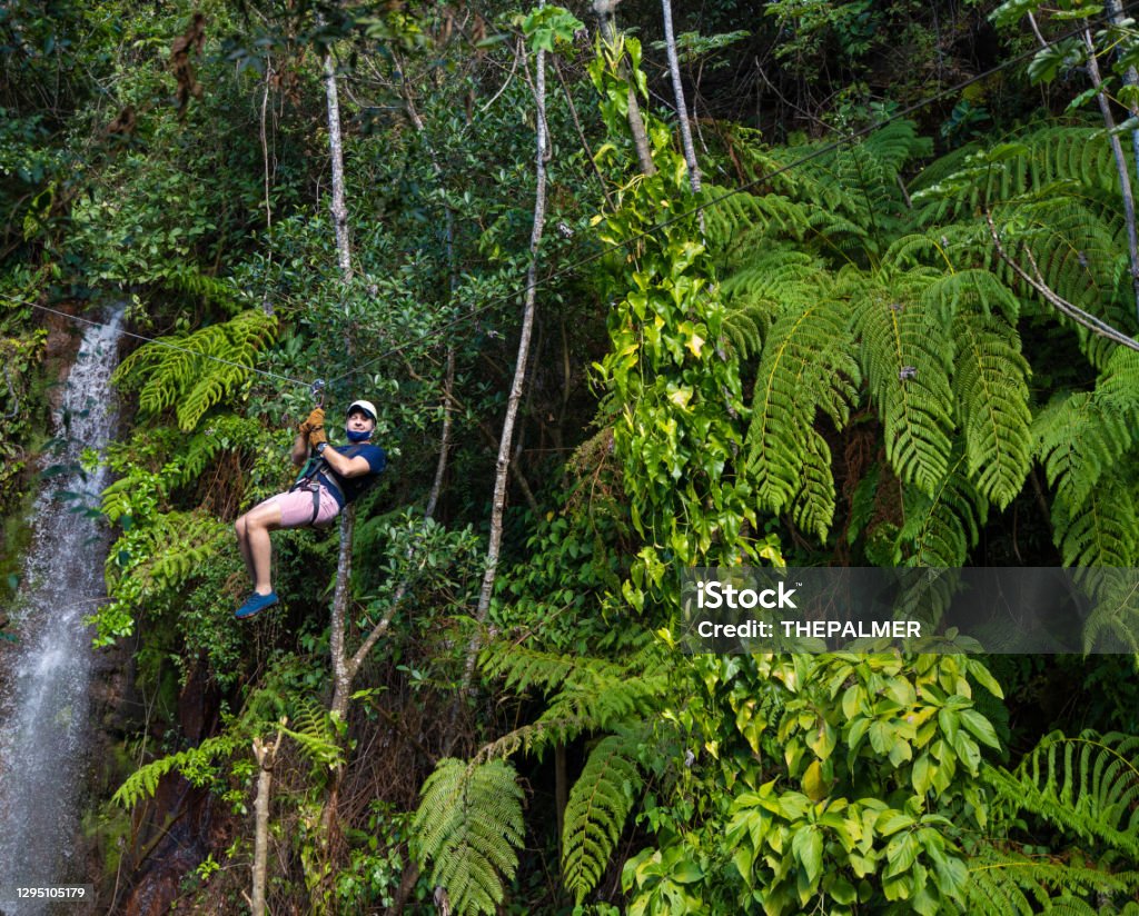 Zip line in Costa Rica against green foliage Costa Rica Stock Photo