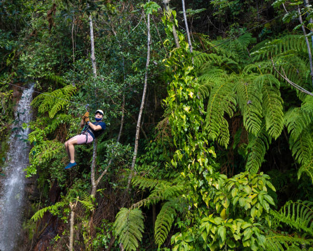 Zip line in Costa Rica against green foliage Zip line in Costa Rica against green foliage canopy tour photos stock pictures, royalty-free photos & images