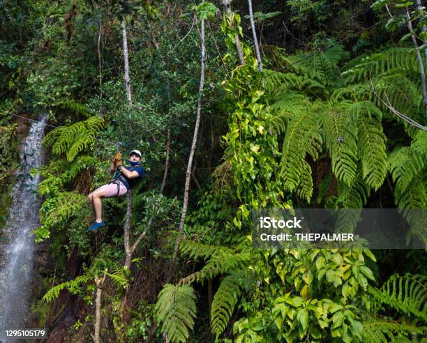 Zip Line In Costa Rica Against Green Foliage Stock Photo - Download Image Now - Costa Rica, Zip Line, People