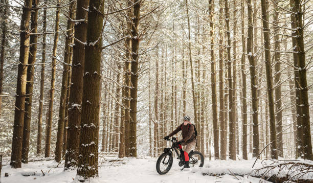 istock Adult man riding fat bicycle in winter 1295113477