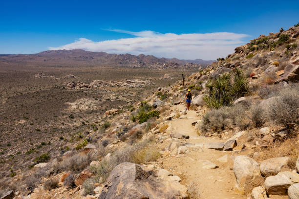 istock Hiking Ryan Mountain in Joshua Tree 1295114425