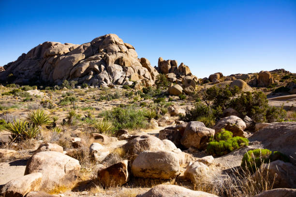 istock Jumbo Rock Landscapes 1295114894