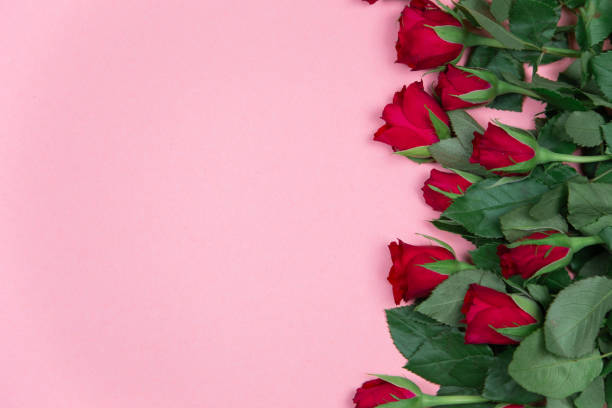 istock Roses on pink background February 14 Valentine's Day 1295125238