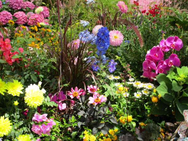 istock Gardeners Dream 4 1295130024