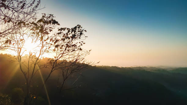istock Beautiful sunrises with trees and clear skies 1295137295