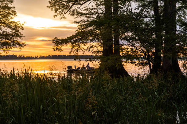 Sunset at Reelfoot Lake in TN Reelfoot, TN, USA.  May 27, 2020.
A fishing boat just offshore at Reelfoot Lake with the silhouettes of trees mid picture. reelfoot lake stock pictures, royalty-free photos & images