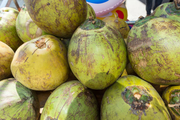 istock A group of green ripe coconuts for sale 1295143441