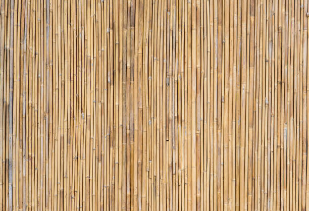 istock fence made of bamboo sticks 1295145248