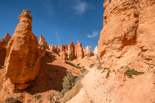 istock Bryce Canyon National Park, Utah. Peekaboo Loop trail 1295152383