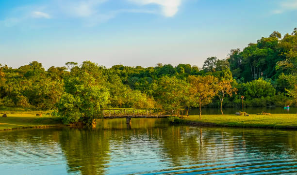 istock sunset view with trees and sky reflecting in the lake 1295154420