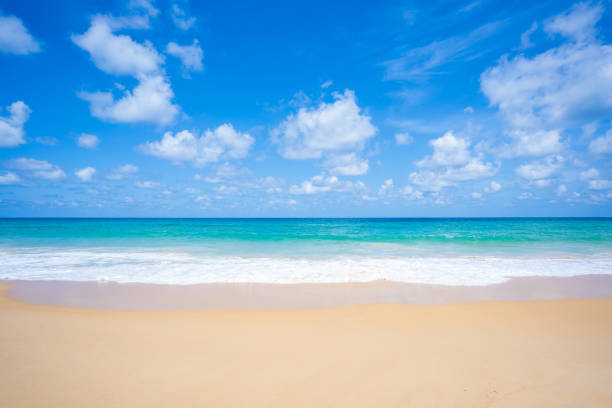 istock beautiful beach for wallpaper Khao Lak Beach 1295167304