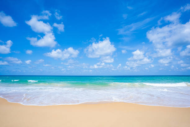 istock beautiful beach for wallpaper Khao Lak Beach 1295167305