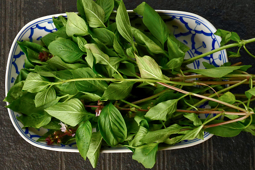 Sweet basil or Thai basil gather from home garden popular organic vegetable herb prepare cooking thai food