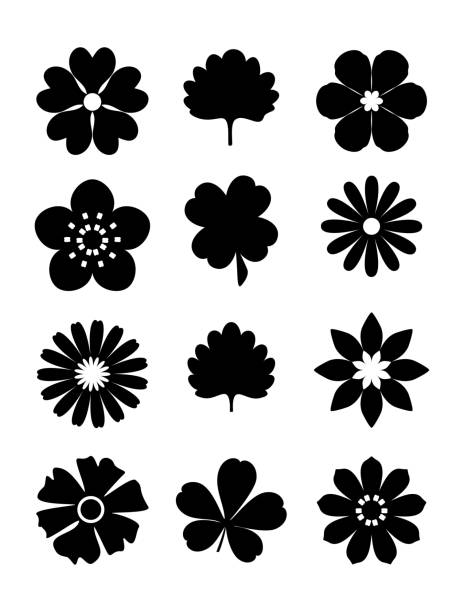 illustrations, cliparts, dessins animés et icônes de fleurs silhouette, grand design à toutes fins. concept de nature. - herb flower head flower wildflower