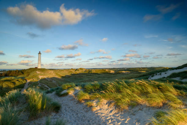 panoramablick auf den leuchtturm lyngvig auf der breiten düne von holmsland klit mit blick auf den strand an der westküste jütlands, von hvide sande, dänemark - denmark architecture nature rural scene stock-fotos und bilder