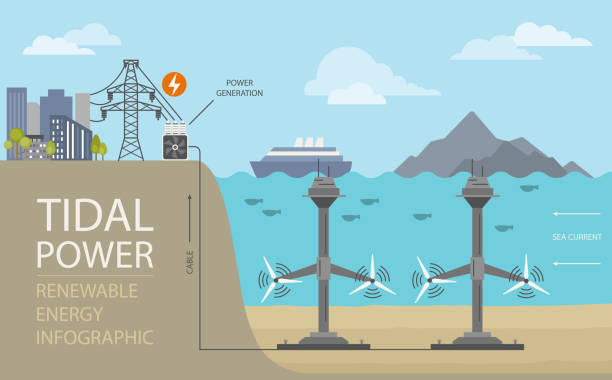 инфографика возобновляемых источников энергии. приливная сила. глобальные экологические проблемы - tidal energy stock illustrations