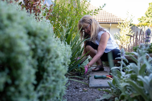 Senior woman pruning her garden plants